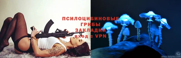 прущие грибы Балахна