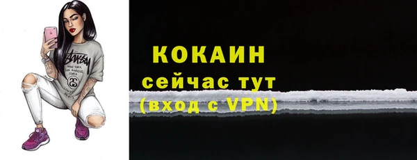 сатива Армянск