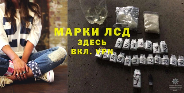 прущие грибы Балахна