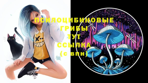 мяу мяу мука Баксан