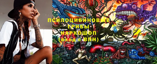 мяу мяу мука Баксан