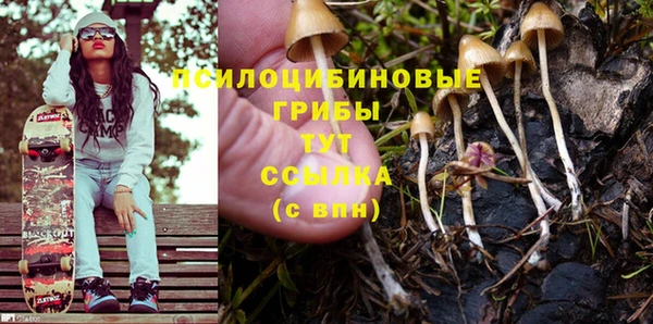 бошки Аркадак