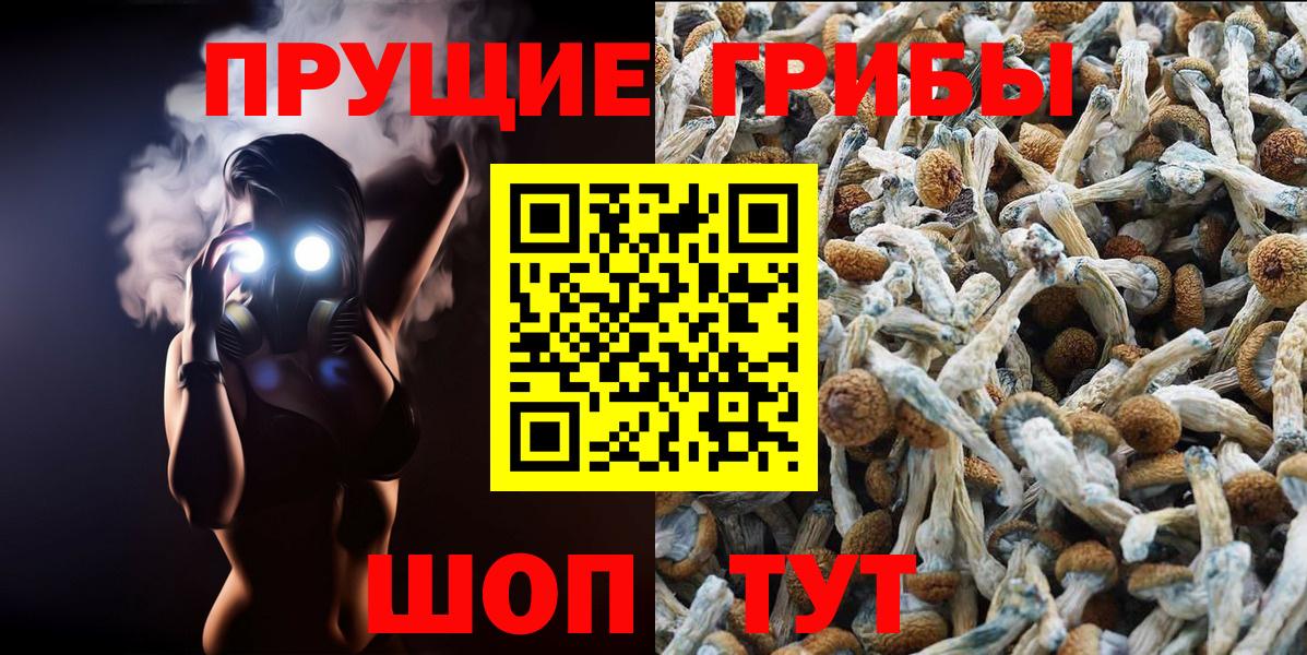 Псилоцибиновые грибы мицелий Кировск