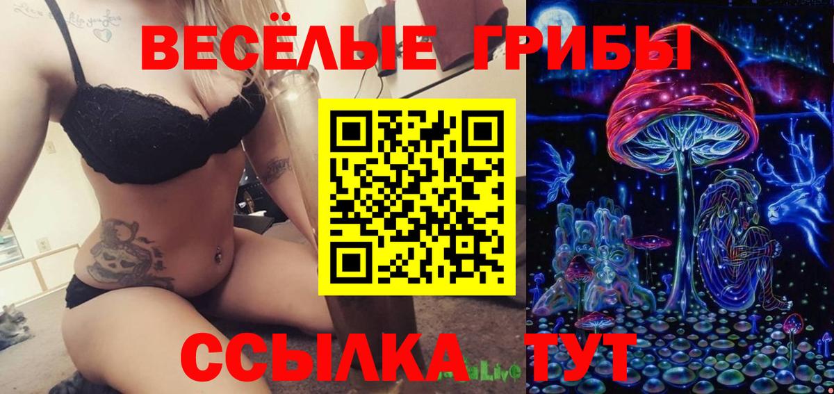 Кировск  Галлюциногенные грибы Psilocybine cubensis  Вход с VPN 